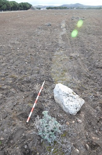 Fragmento de estela sobre la superficie arada