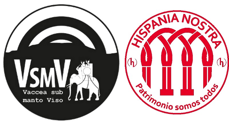 Proyecto Vaccea sub manto Viso