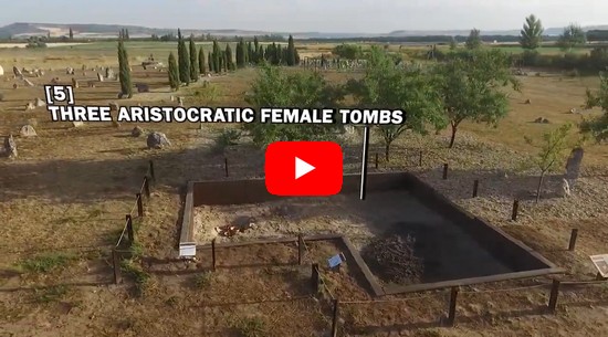 The necropolis of Pintia (Las Ruedas). A bird's-eye view